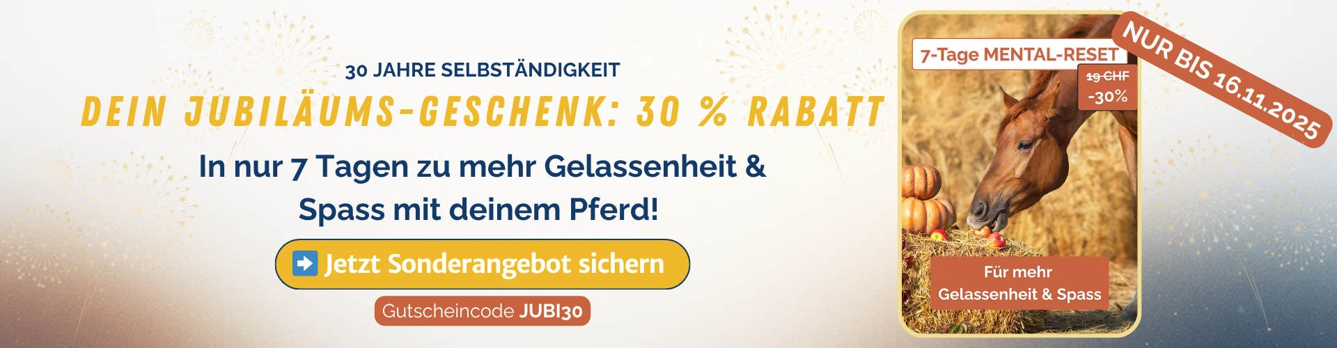 Banner (1920 x 500 px)